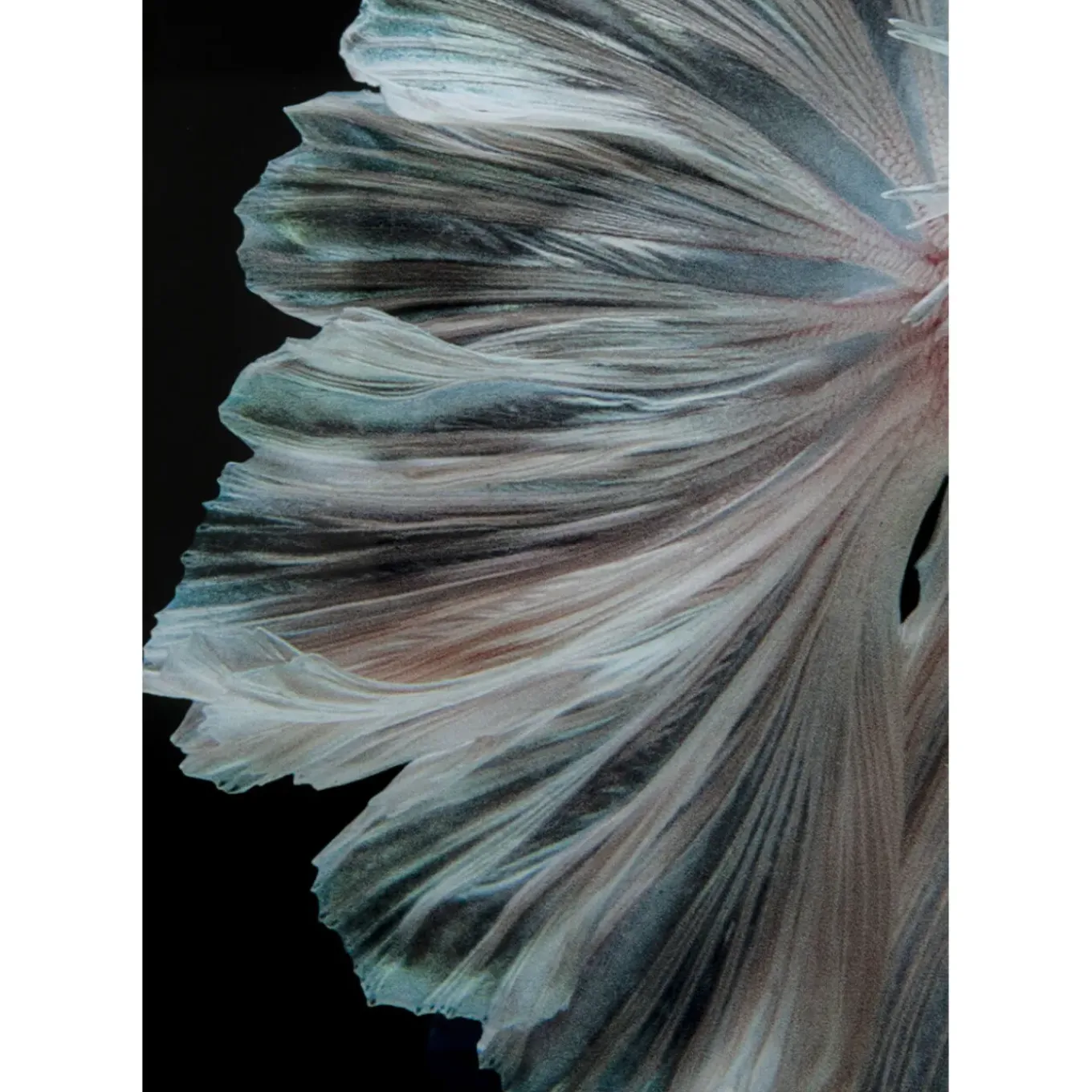 Tableau En Verre Colorful Swarm Fish 120X120Cm