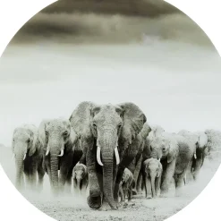 Tableau En Verre Elephant Walk O120Cm
