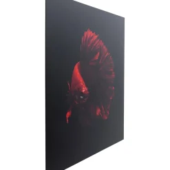Tableau En Verre Fire Fish 100X100Cm