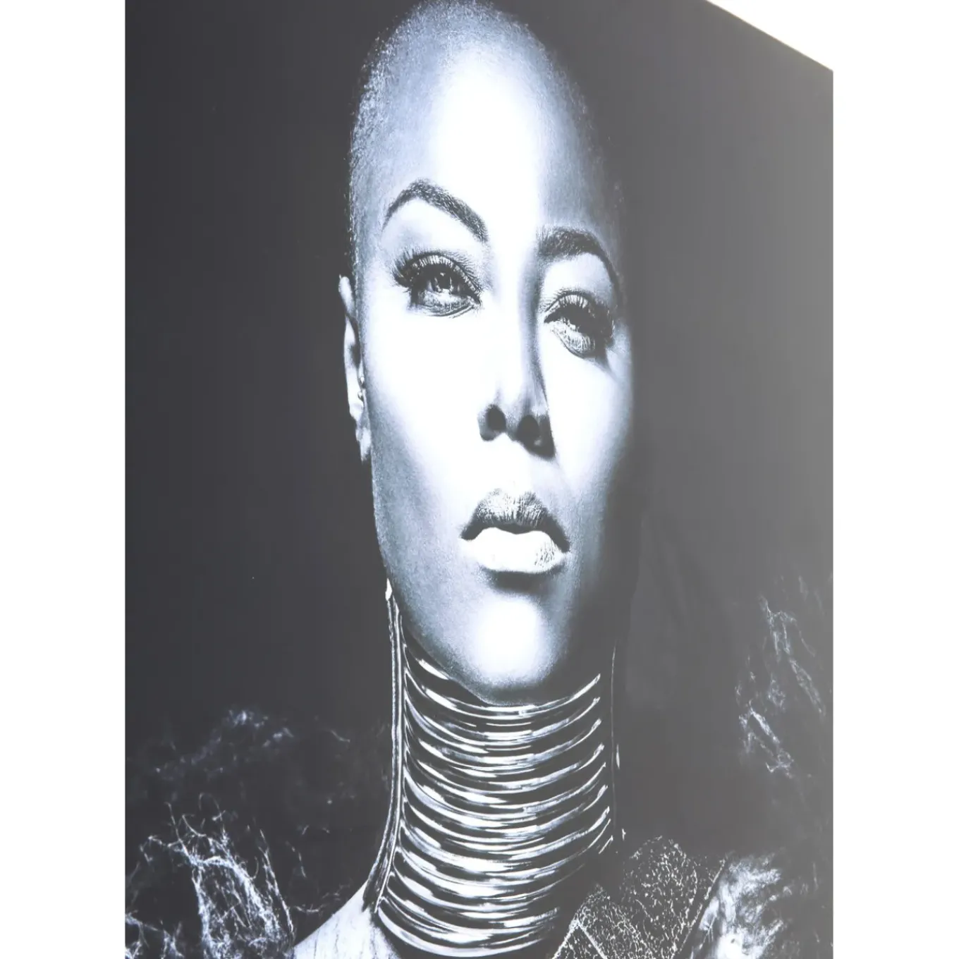 Tableau En Verre Lady Knight 100X150Cm