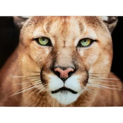 Tableau En Verre Lioness 150X100Cm