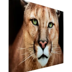 Tableau En Verre Lioness 150X100Cm