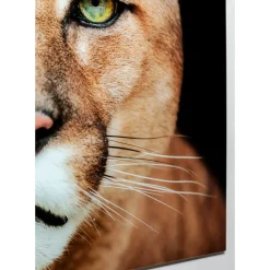 Tableau En Verre Lioness 150X100Cm
