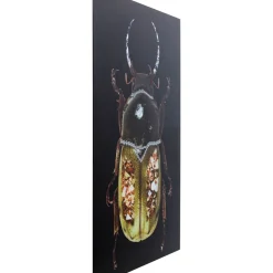 Tableau En Verre Shiney Dung Beetle 80X120Cm