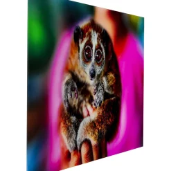 Tableau En Verre Slow Loris 80X120