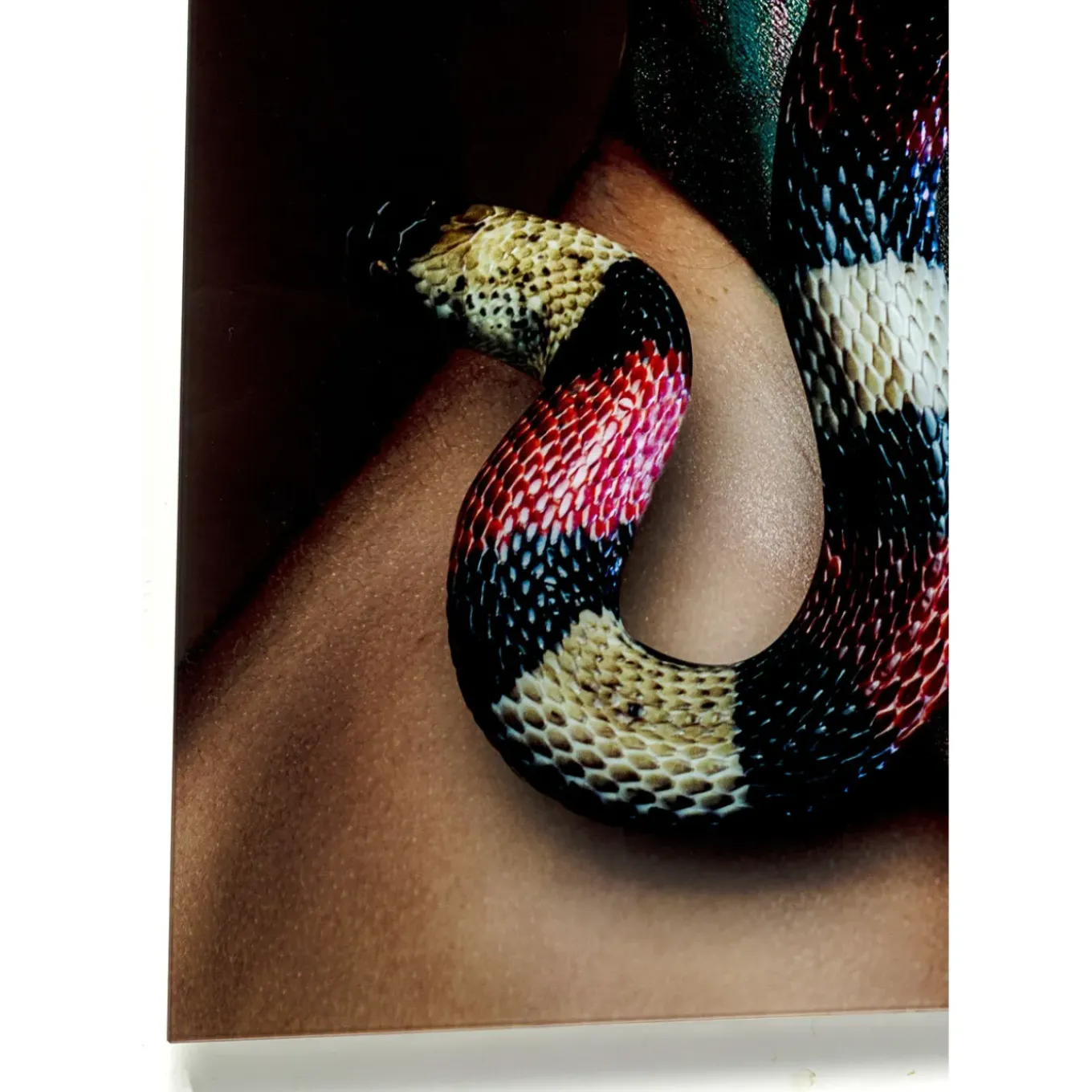 Tableau En Verre Snake Girl 80X120Cm