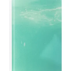 Tableau En Verre Swimming Elephant 180X120