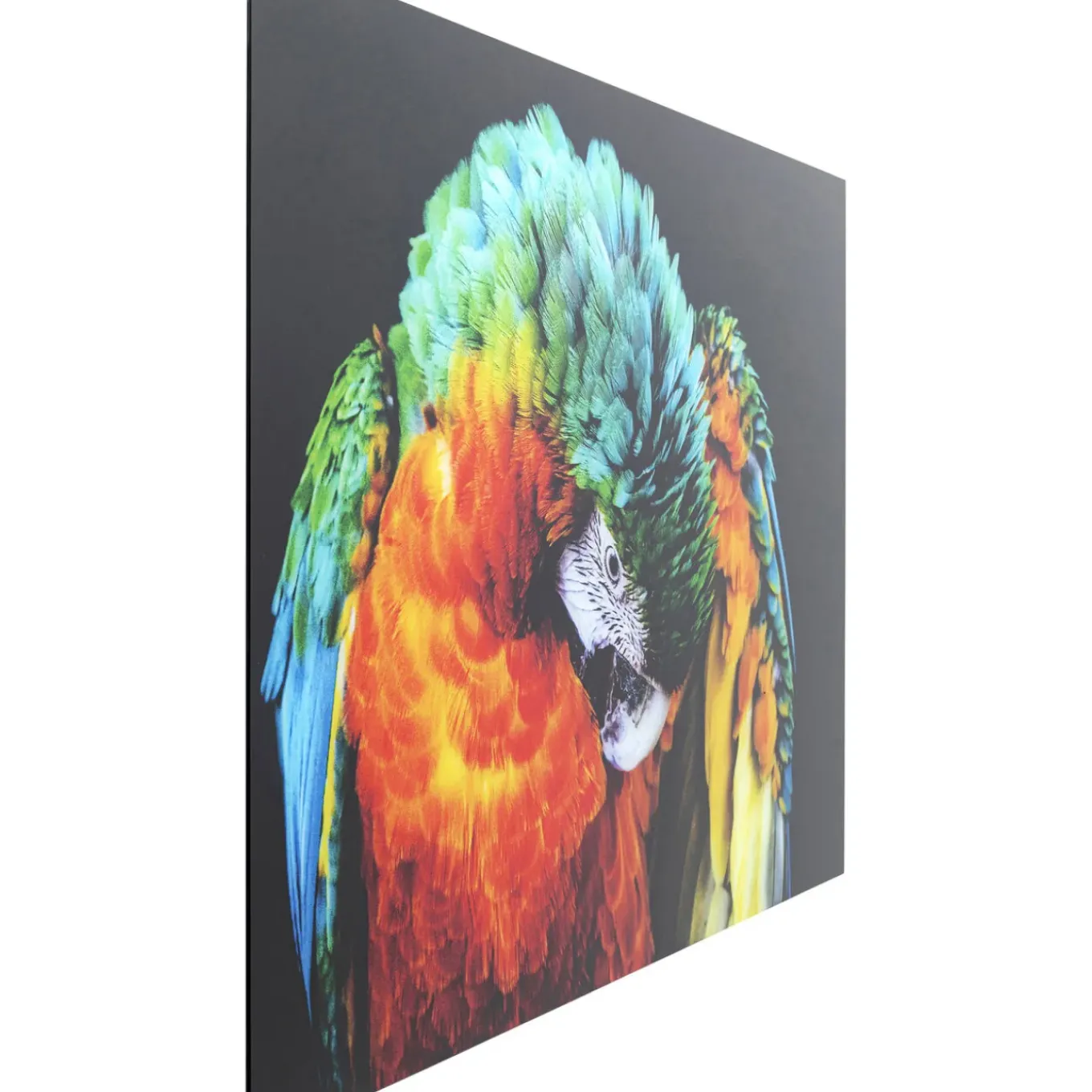 Tableau En Verre Tropical Parrot 120X80Cm