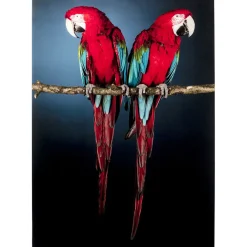 Tableau En Verre Twin Parrot 80X120Cm