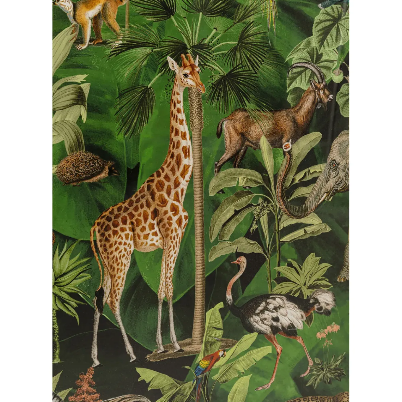 Tableau Encadre Animals In Jungle 80X100Cm