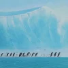 Tableau Encadre Walking Penguins 140X140Cm