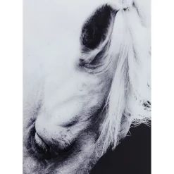 Tableau Frame Alu Proud Horse 100X100Cm