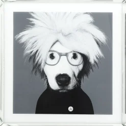 Tableau Frame Mirror Artist Dog 60X60