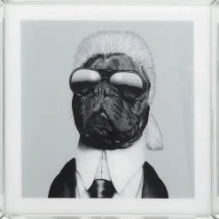 Tableau Frame Mirror Designer Dog 60X60Cm
